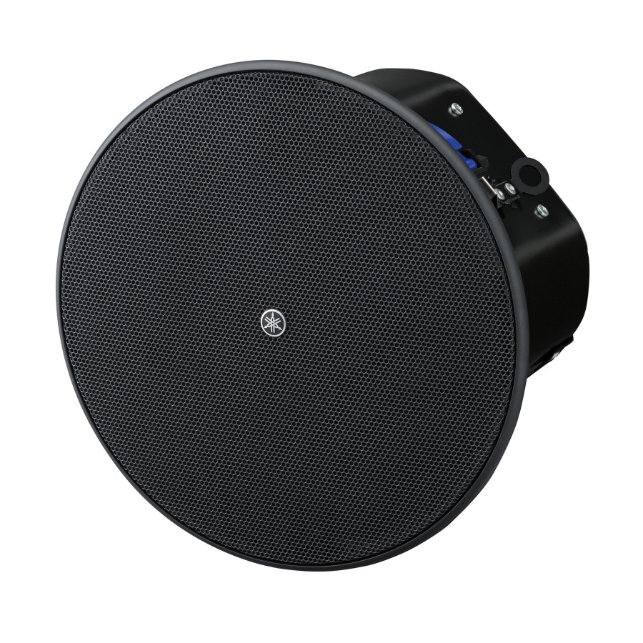 VXC6 Ceiling speaker