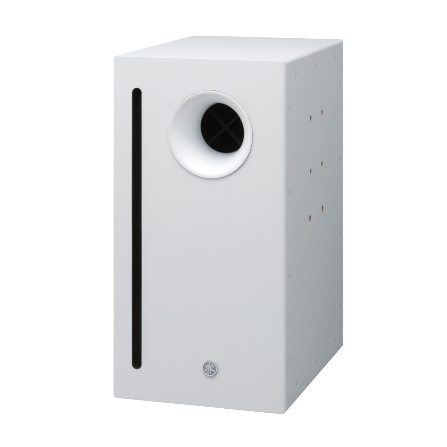 VXS10SW Surface Mount Speaker